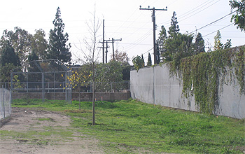 Zamboni Elementary